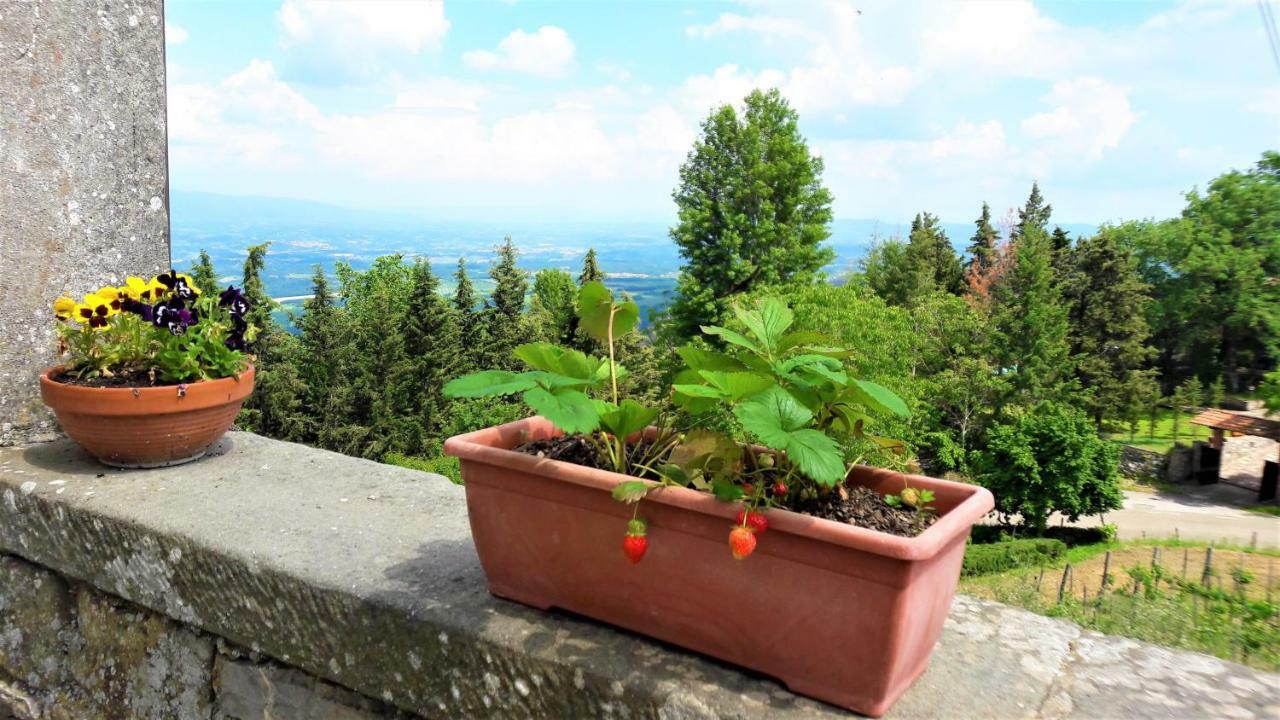 A Due Passi Dal Chianti Apartment Cavriglia Exterior photo